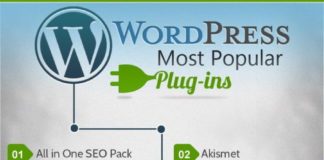 Social media infographic – WordPress : les 30 plugins les plus populaires… et moi