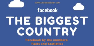 Statistics infographic : 33 Surprising Facebook Statistics with Facts and Numbers (Infographic)
