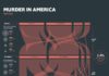 Statistics infographic : An anatomy of murder