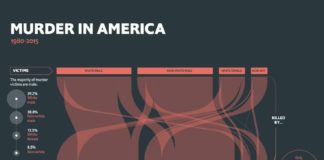 Statistics infographic : An anatomy of murder