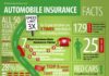 Statistics infographic : Auto Insurance Facts and Interesting Statistics Infographic