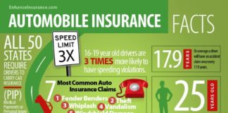 Statistics infographic : Auto Insurance Facts and Interesting Statistics Infographic