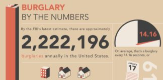 Statistics infographic : Burglary By The Numbers (Infographic)