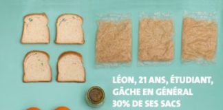 Statistics infographic : Conception d'une campagne d’affiches contre le gaspillage alimentaire pour…