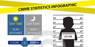 Statistics infographic : Crime Statistics Infographic