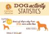 Statistics infographic : Dog Activity Statistics: Who’s Most Active