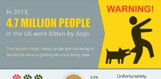 Statistics infographic : Dog Attack Statistics Infographic for Dog Bite Prevention Awareness Week