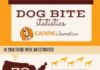 Statistics infographic : Dog Bite Statistics (How Likely Are You To Get Bit?)