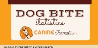 Statistics infographic : Dog Bite Statistics (How Likely Are You To Get Bit?)