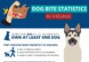 Statistics infographic : Dog Bite Statistics in Virginia