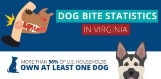 Statistics infographic : Dog Bite Statistics in Virginia
