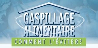 Statistics infographic : El Conde. fr: La Journée mondiale de l'environnement contre le gaspillage a…