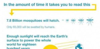 Statistics infographic : FUNNY STATISTICAL INFOGRAPHICS #infographicsstatistics