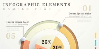 Statistics infographic : Flat style abstract pie chart infographics