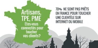 Statistics infographic : Infographie | Artisans, TPE, PME: ne négligez pas vos clients internautes
