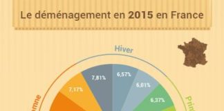 Statistics infographic : Infographie : le déménagement en France
