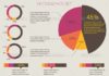 Statistics infographic : Infographisc Set – Vector – Infographics
