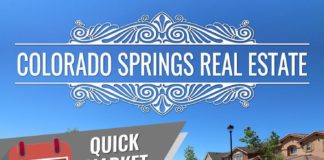 Statistics infographic : January 2019 Colorado Springs Real Estate Market Statistics Infographic