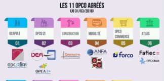 Statistics infographic : Les 11 OPCO agréés ? De quoi parle-t-on