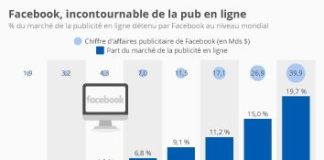 Statistics infographic : Les réseaux sociaux ou l’eldorado publicitaire