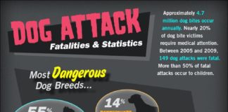 Statistics infographic : Dog is man's best friend but sometimes man's best friend can attack and …