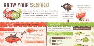 Statistics infographic : Overfishing Statistics – iNFOGRAPHiCs MANiA