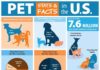 Statistics infographic : Pet Overpopulation & Shelter Statistics Infographic #cattrainingtips