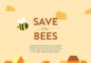 Statistics infographic : “Save The Animals” Infographic Series on Behance