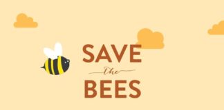 Statistics infographic : “Save The Animals” Infographic Series on Behance