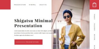 Statistics infographic : Shigatsu Google Slide Template