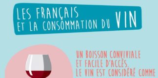 Statistics infographic : Statistics infographic : Infographie: Les Français et le vin, une relation qui ne cesse de changer – «20 Minutes» met le cap sur le vignoble bordelais