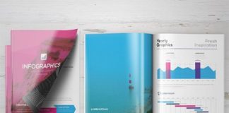 Statistics infographic : Statistics infographic : Vector Infographic Tools for Access All Areas Members