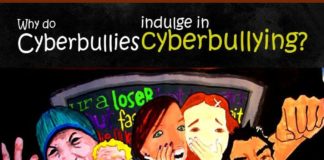 Statistics infographic : Stories and Reasons of CyberBullying by CyberBullies with Facts and Statistics