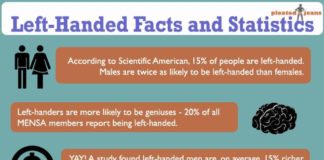 Statistics infographic : This infographic provides information about left handed people. It provides rand…