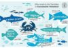 Statistics infographic : Today we are talking about over fishing. World-wide, overfishing is one of the b…