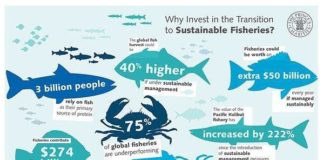 Statistics infographic : Today we are talking about over fishing. World-wide, overfishing is one of the b…