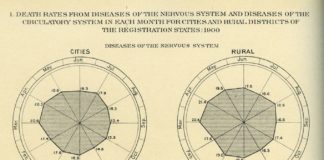 Statistics infographic : Vintage Infodesign [3