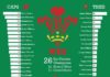 Statistics infographic : Wales Rugby Union Visual History Infographic Statistical Visualisation Wall Print