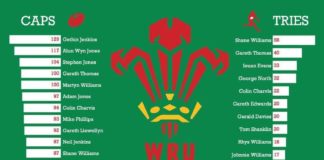 Statistics infographic : Wales Rugby Union Visual History Infographic Statistical Visualisation Wall Print
