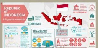 Statistics infographic : indonesia city: Indonesia infographics, statistical data, sights. Vector illustr…