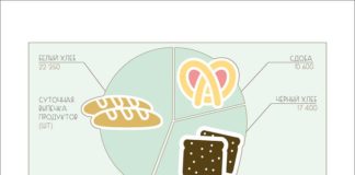 Statistics infographic : infographics, statistics