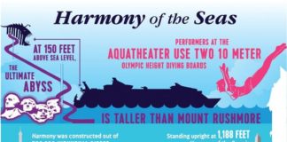 Travel infographic –