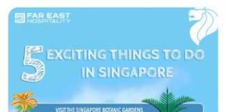 Travel infographic – 5 Exciting Things To Do In Singapore Infographic