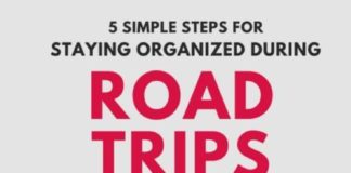 Travel infographic – 5 Organization Tips for Road Trips
