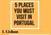 Travel infographic – 5 Places you Must Visit in Portugal