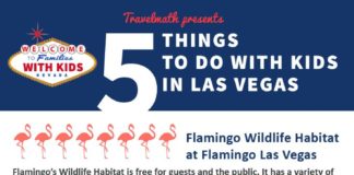 Travel infographic – 5 Things to Do with Kids in Las Vegas