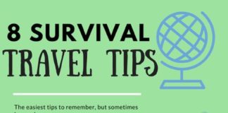 Travel infographic – 8 Ignored Survival Travel Tips