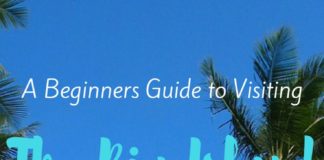 Travel infographic – A Beginners Guide to Visiting The Big Island! #Hawaii #hawaiivacationtipsbigisla…
