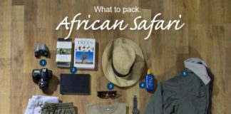 Travel infographic – African safaris are jam-packed with outdoor adventure, so you’ll need to be dr…