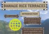 Travel infographic – Banaue Rice Terraces Infographic